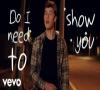 Zamob Shawn Mendes - Show You