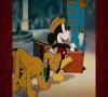 Zamob Society Dog Show - A Classic Mickey Cartoon - Have A Laugh