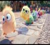 Waptrick The Angry Birds Movie - Crossing Guard