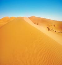 Zamob African Desert