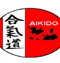 Zamob aikido 3