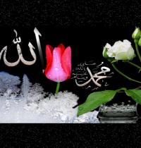 Zamob Allah And Muhammad 10