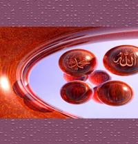Zamob Allah And Muhammad 17