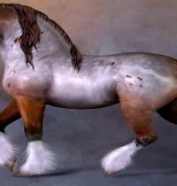 Zamob Art Made Horse