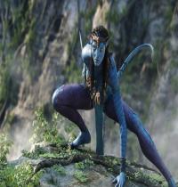Zamob Avatar 2009 Movie