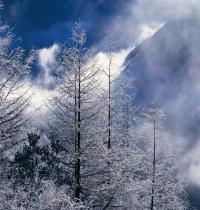 Zamob Beautiful Winter Landscapes
