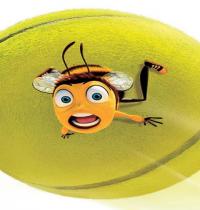 Zamob bee and tennis ball
