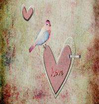 Zamob Bird On A Heart