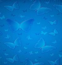 Zamob Blu And Butterfly Pattern