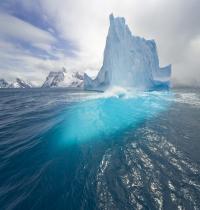 Zamob Blue Tall Iceberg
