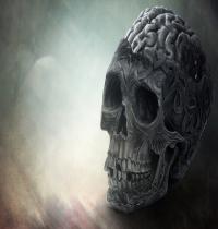Zamob Brain Skull