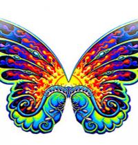 Zamob butterfly wing 1