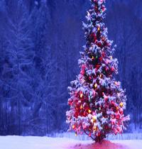 Zamob Christmas Lights Tree Xmas