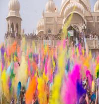 Zamob Colorful Celebration