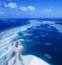 Zamob Coral Reef Australia