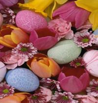 Zamob Easter Eggs 10