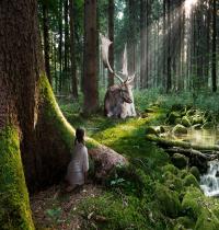 Zamob Fairytale Forest