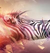 Zamob Fantastic Zebra