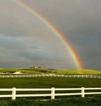 Zamob Farmland Rainbow