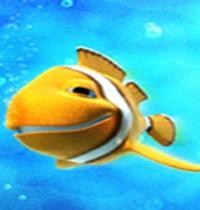 Zamob fish