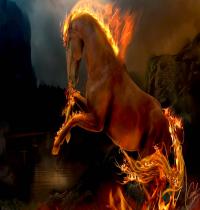 Zamob Flame Horse