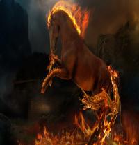 Zamob Flaming Horse