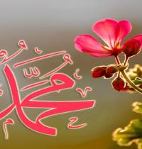 Zamob Flower Islamic 03