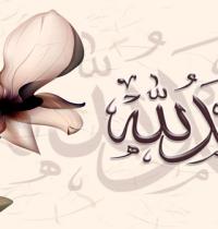 Zamob Flower Islamic 24