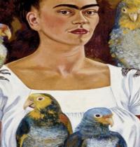 Zamob Frida Kahlo viva la vida