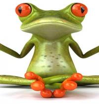 Zamob Frog Engaged In Yoga