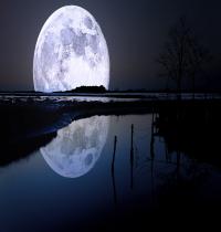 Zamob Full Moon