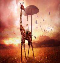 Waptrick Giraffe Dream