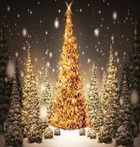 Zamob Glowing Christmas Trees