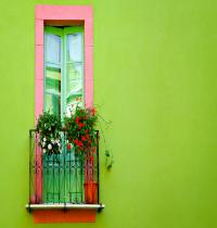 Zamob Green Wall Window