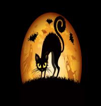 Zamob Halloween Cats Bats