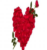 Zamob Heart Of Rose Petals