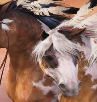 Zamob Injun Horse