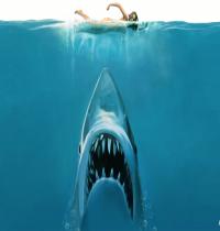 Zamob Jaws Movie Concept