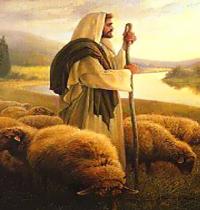 Zamob jesus with sheeps 2
