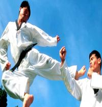 Zamob Karate Sport 05