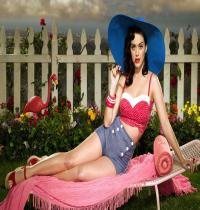 Zamob Katy Perry One Of The Boys