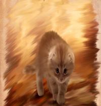 Zamob Kitten Painting