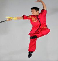 Zamob Kung Fu Fight