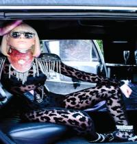 Zamob Lady Gaga Singers In Car