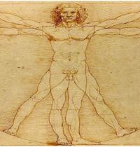 Zamob Leonardo da Vinci Vitruvius