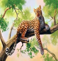 Zamob Leopard Art