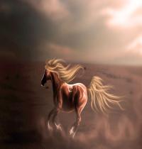 Zamob Majestic Horse In The Desert