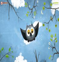 Zamob May Owl Flight