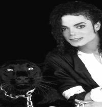 Zamob Michael Jackson The One