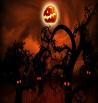 Zamob Midnight Forest Halloween